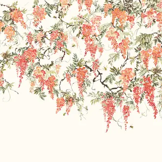 Trailing Wisteria ICN50112M