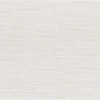 Edo 3991 03 09