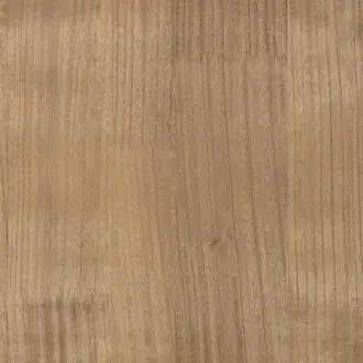 Paulownia ZW148-03