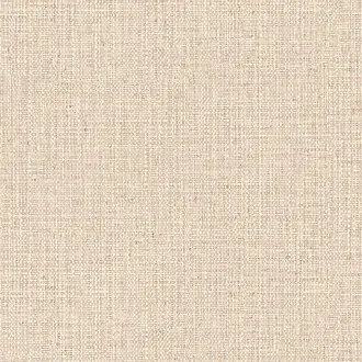 Nongo 49510