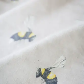 Buzz JTFBBU01
