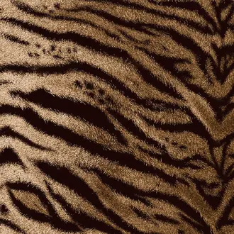 Tiger Nutmeg 22