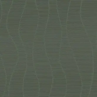 Artifact 312424