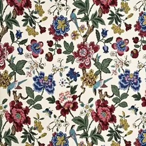 Persian Pomegranate BP10464-4