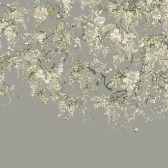 Trailing Wisteria ICN50114M