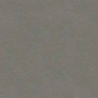 Lacquer 8012134-21