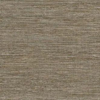 Gossamer CH01312