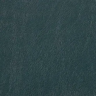 Chesterfield Forest