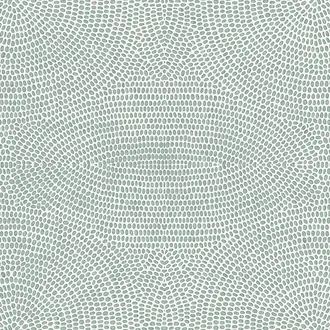 Strata 50570
