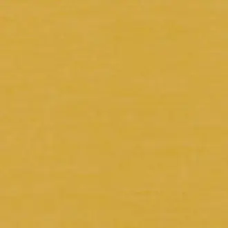 Zanzibar 290010