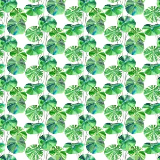 Brahmi Outdoor FDG2882-01