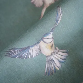 Early Bird JTFBEB03