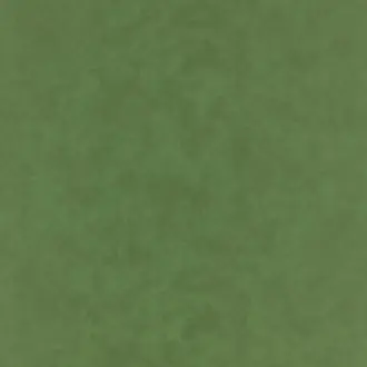 Hide Asparagus