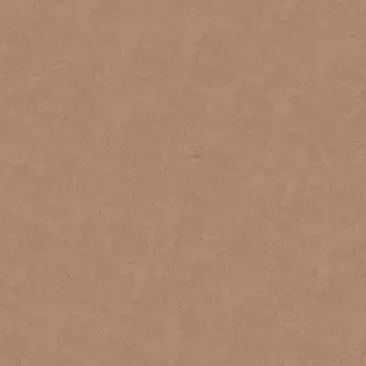 Clay 1122-01