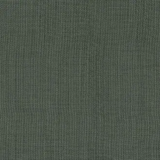 Captivant Celadon 4268 09 51