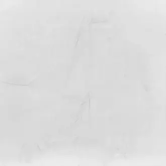 Venetian Plaster 4060