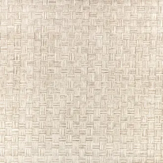 Pyrite ZW145-01