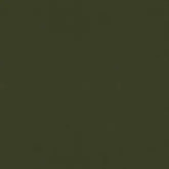 Solaire Seaweed