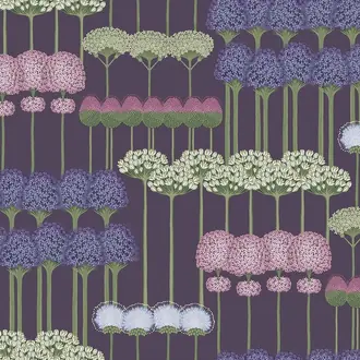 Allium 115-12036