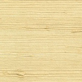 Juicy Jute Grasscloth Biscuit 4827