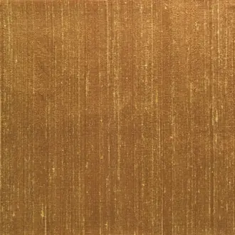 Chinon F1165-31