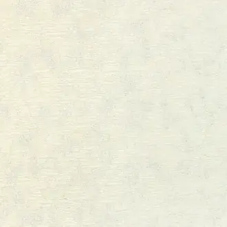 Illumine 36355-1