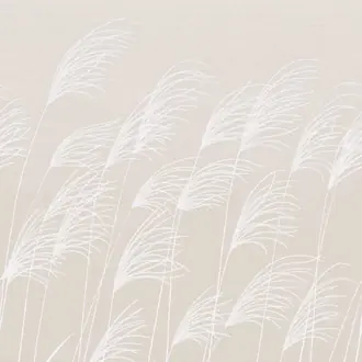 Miscanthus 113231