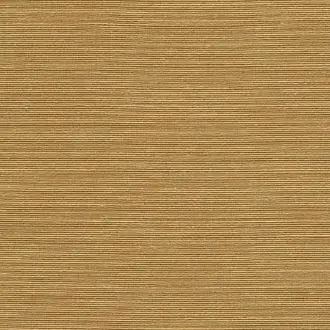 Agave 90530