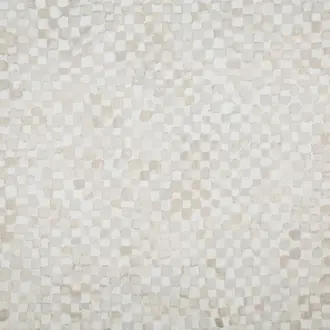 Dama 21560