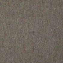 Falster 05 Graphite