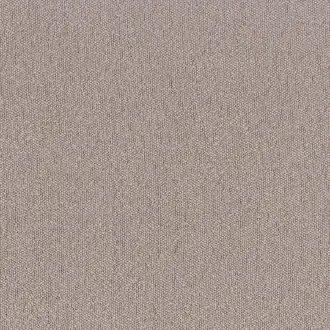 Taiga 4594 02 17