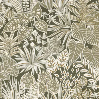 Madhuca 75950814