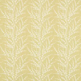 Armeria Trail 236675