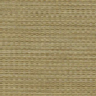 Tierra 05 Gold