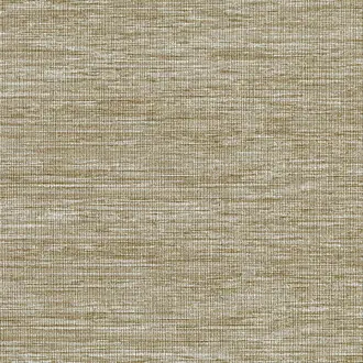 Gossamer CH01316