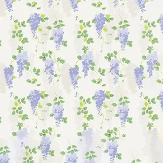 Wisteria 5