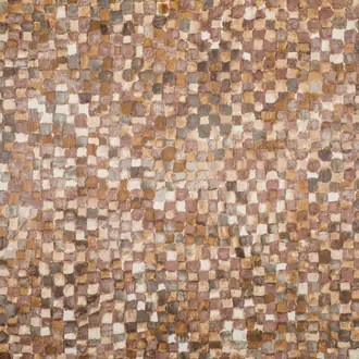 Dama 21561