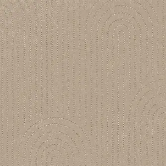 Artifact 312432