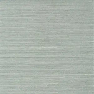 Shang Extra Fine Sisal 839-T-41168