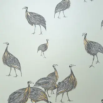 Birds Of A Feather JTBF01