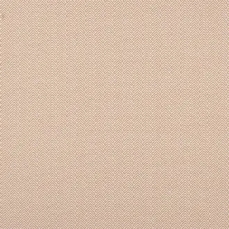 Zadorra FWY8101-01