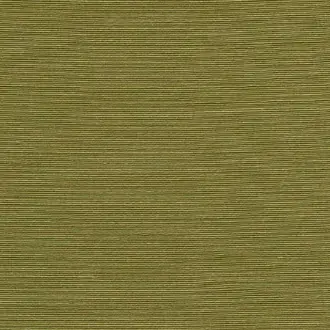 Agave 90531