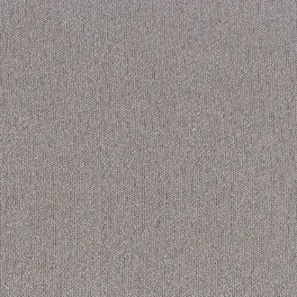 Taiga 4594 03 19