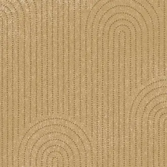 Artifact 312433