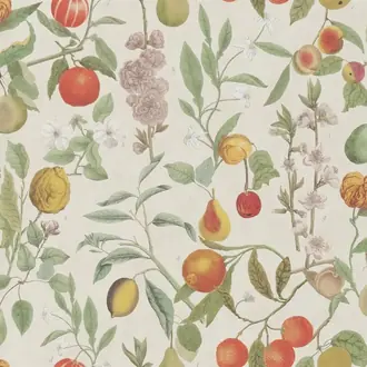 Orchard Fruits PJD6018-01