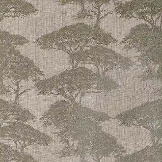 Torrey Pines T24435