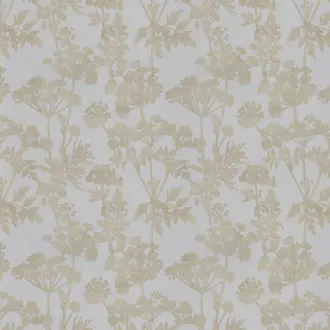 Achillea JA8051-020