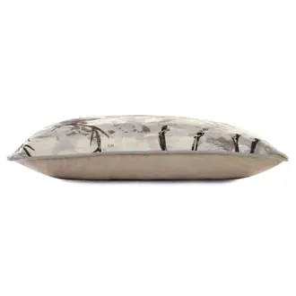 Elaphe CO42501