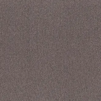 Taiga 4594 04 21