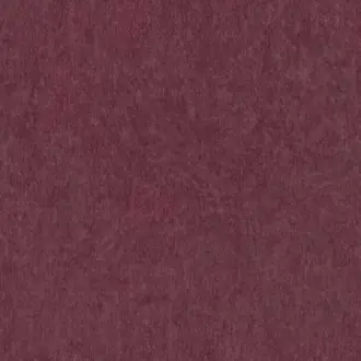 Ebba 1572-555